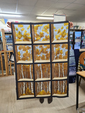 Silver Birch Attic Window Panel and Sashing