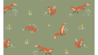 Dear Stella Foxes on Aloe