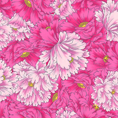 Pink dianthus