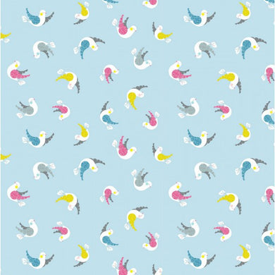 Meadow Birds