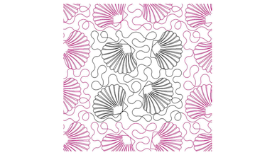 Sea shell Meander